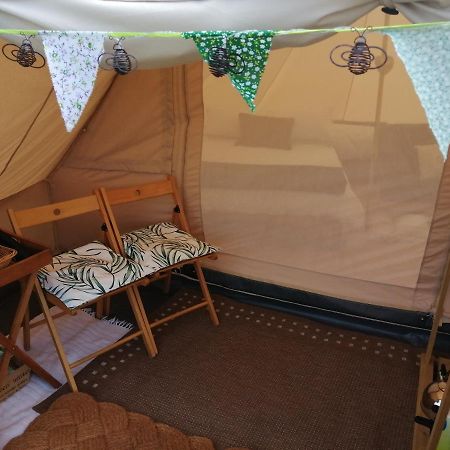 Ciliau-Aeron Coed Y Brenin Retreat - Bell Tent Glamping Near Aberaeron المظهر الخارجي الصورة