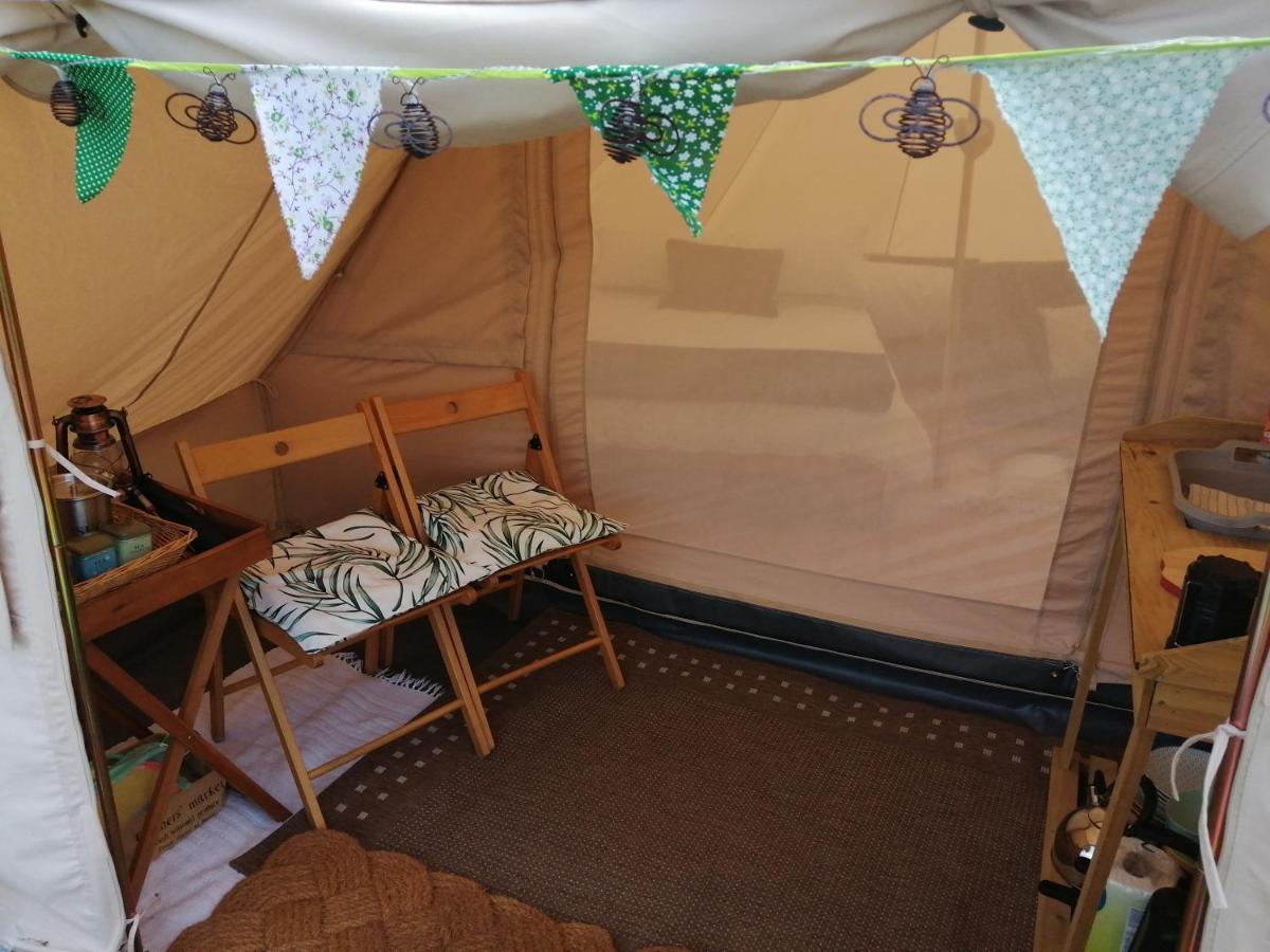 Ciliau-Aeron Coed Y Brenin Retreat - Bell Tent Glamping Near Aberaeron المظهر الخارجي الصورة