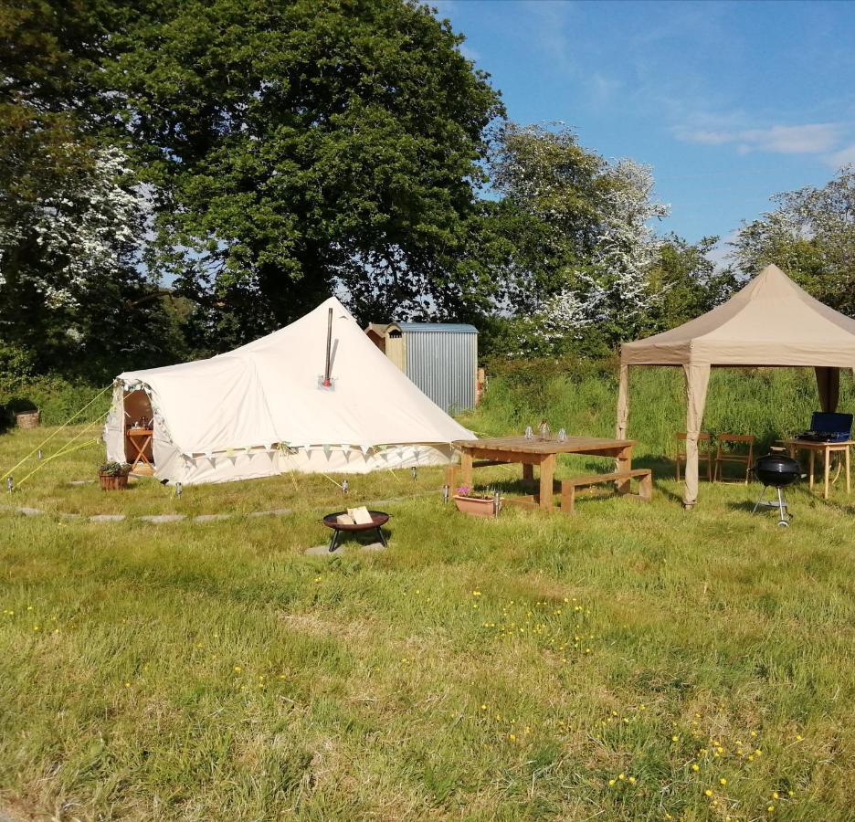 Ciliau-Aeron Coed Y Brenin Retreat - Bell Tent Glamping Near Aberaeron المظهر الخارجي الصورة