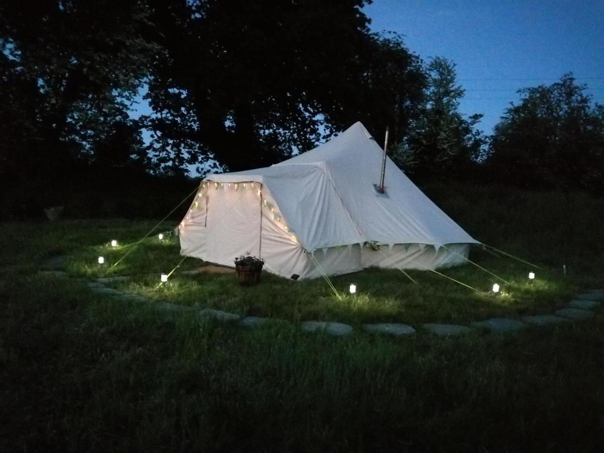 Ciliau-Aeron Coed Y Brenin Retreat - Bell Tent Glamping Near Aberaeron المظهر الخارجي الصورة