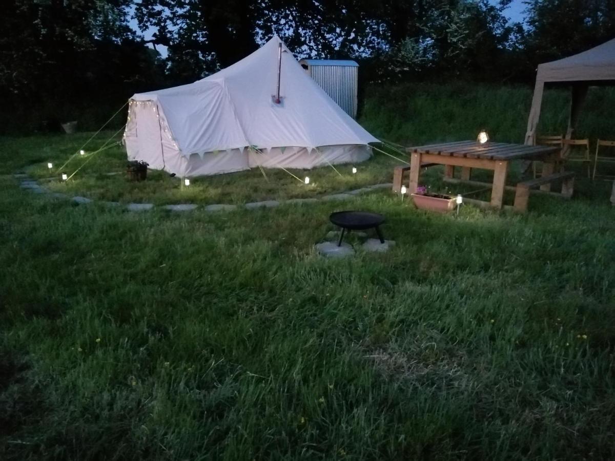 Ciliau-Aeron Coed Y Brenin Retreat - Bell Tent Glamping Near Aberaeron المظهر الخارجي الصورة